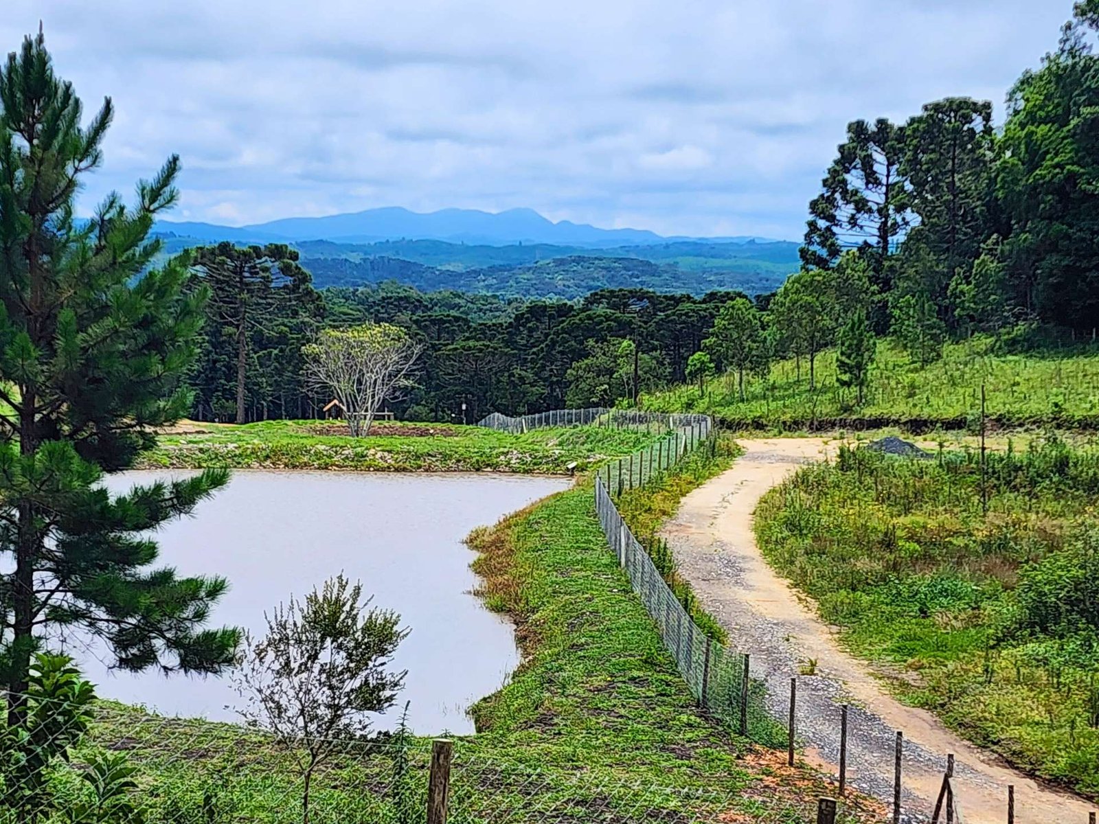 Vista da Serra do Mar na Rota de Cicloturismo com vista para as montanhas