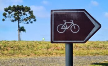 Cicloturismo e a Sinalização Padrão Mundial: O Guia Essencial