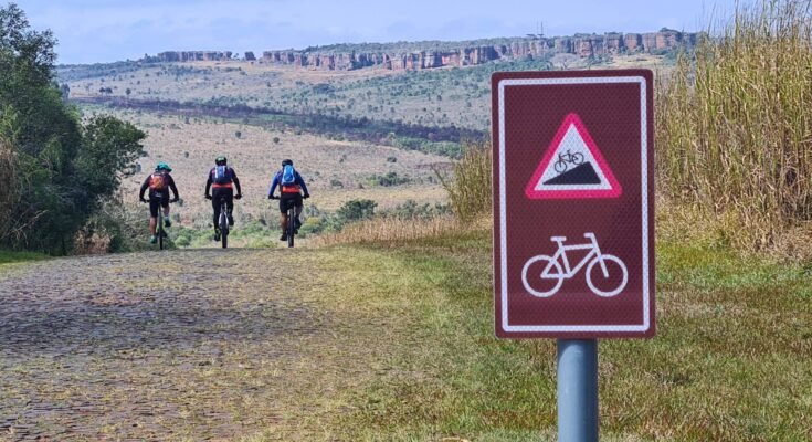 Desenvolvimento Territorial e Cicloturismo Autoguiado